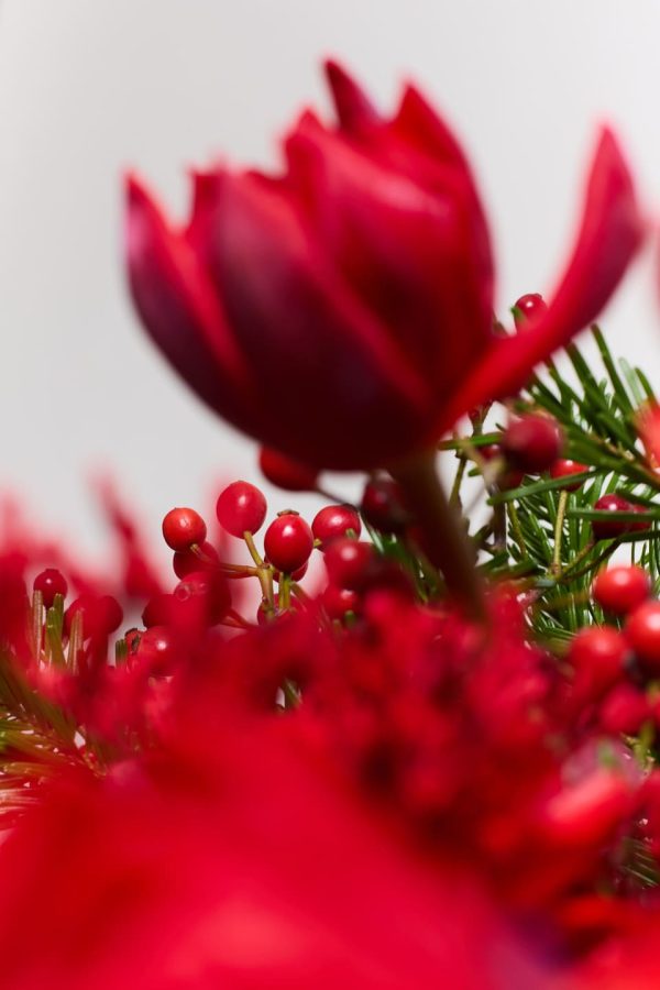 Bouquet de noel - Rouge