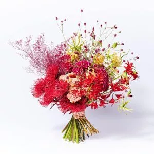 Le Festif - Genereux - Hiver