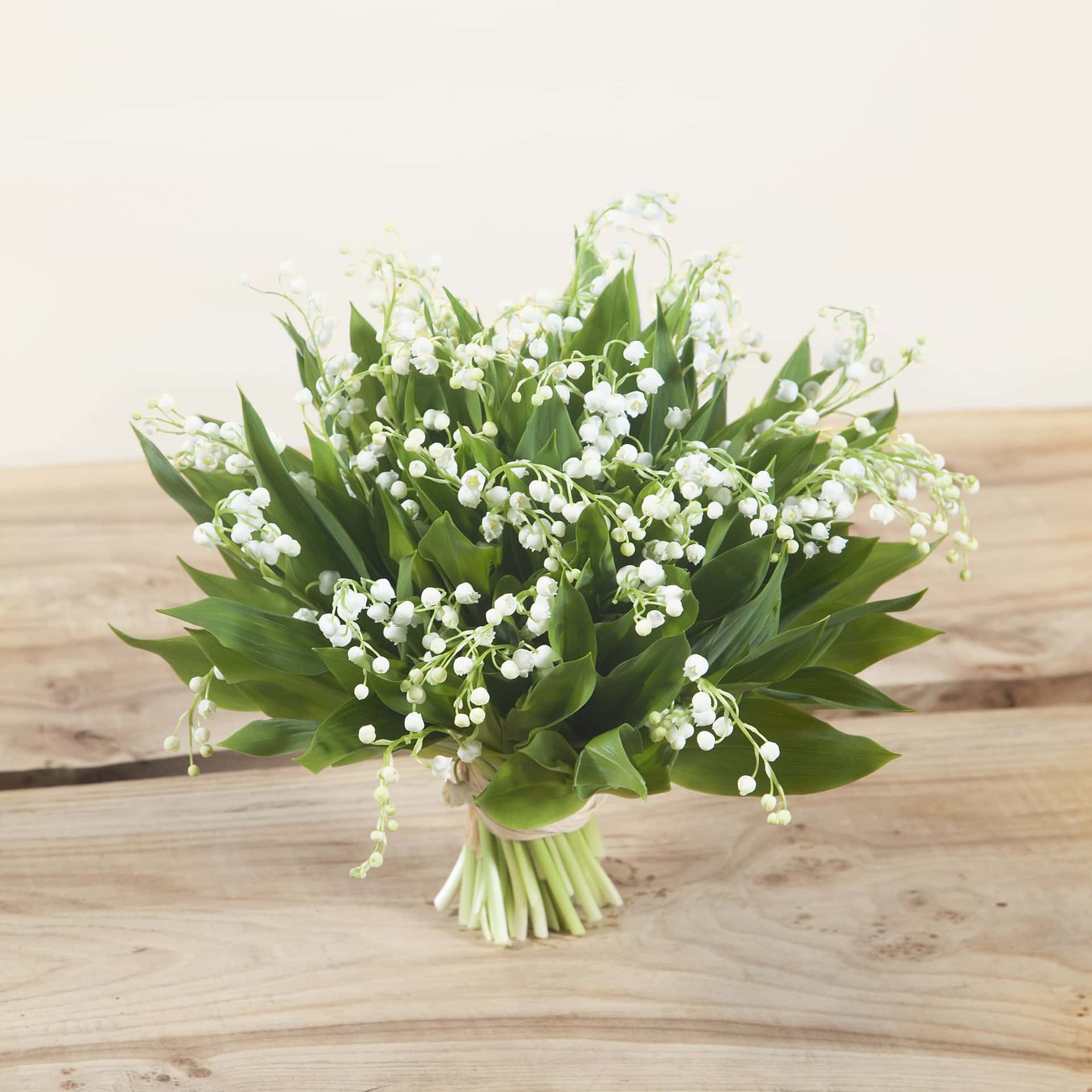 Bouquet de muguet du jardin - Chauvin Paris