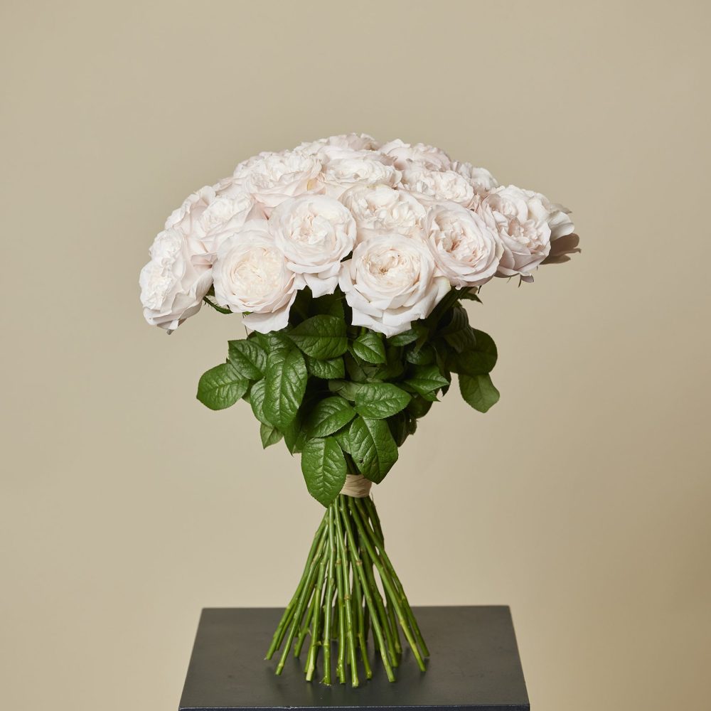 CHAUVIN©Maxime_Huriez-459-WEB