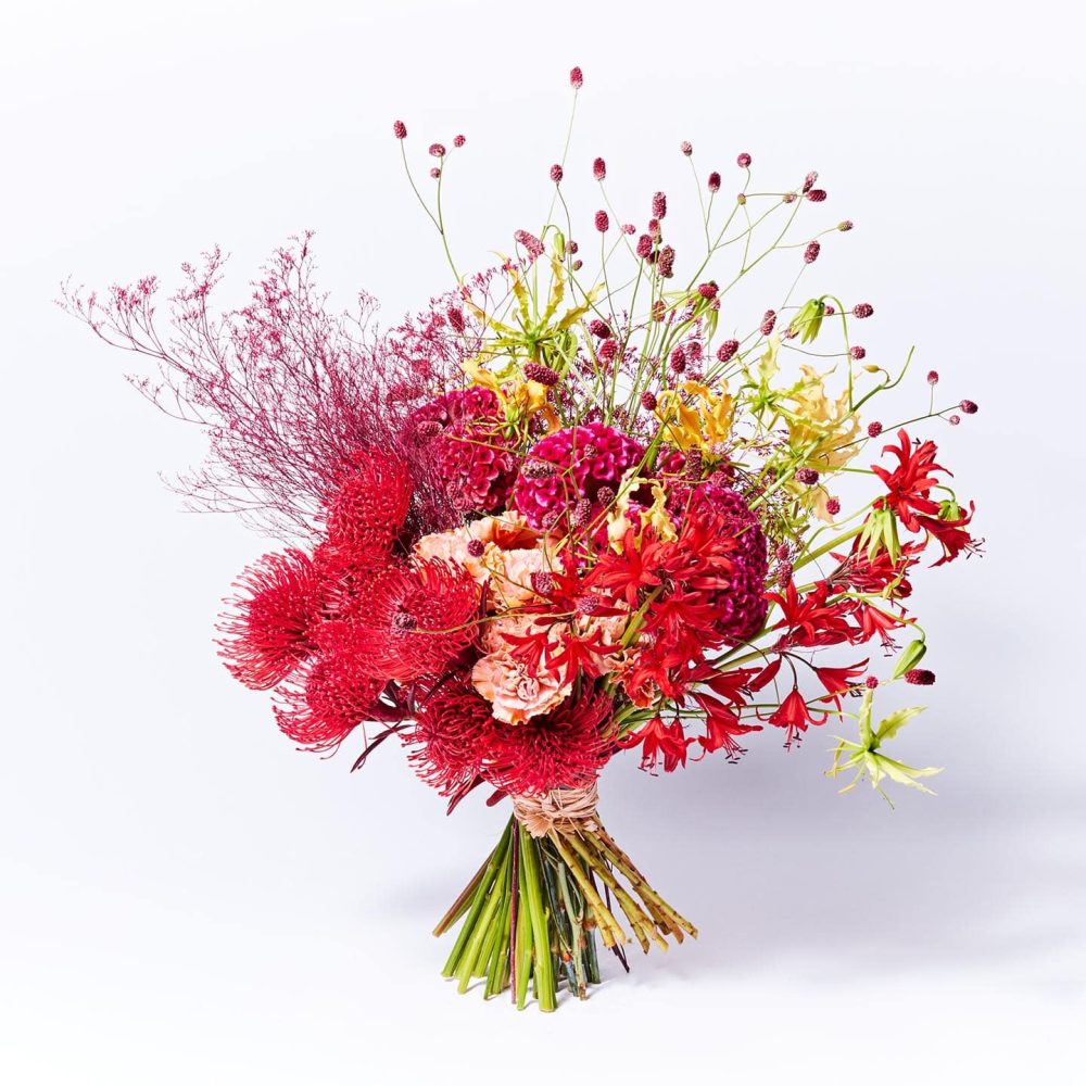 Le Festif - Genereux - Hiver