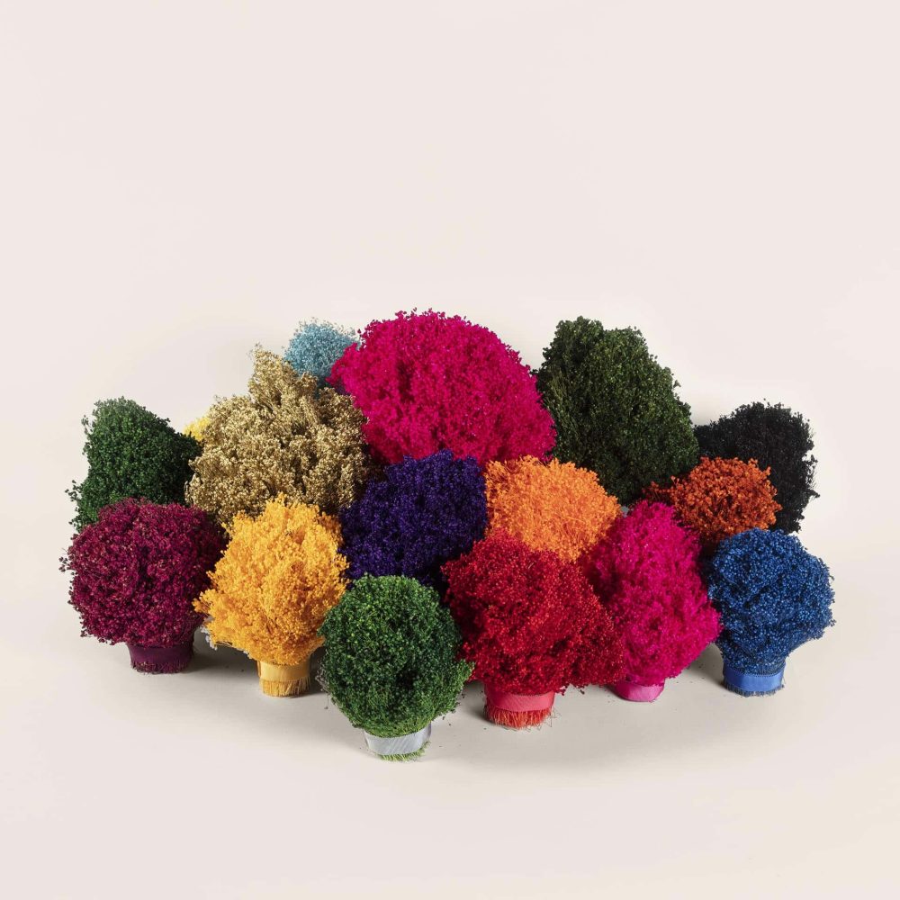 Fleurs séchées