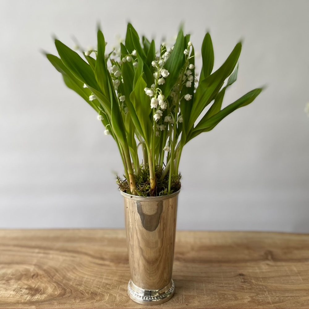Grande timbale de muguet